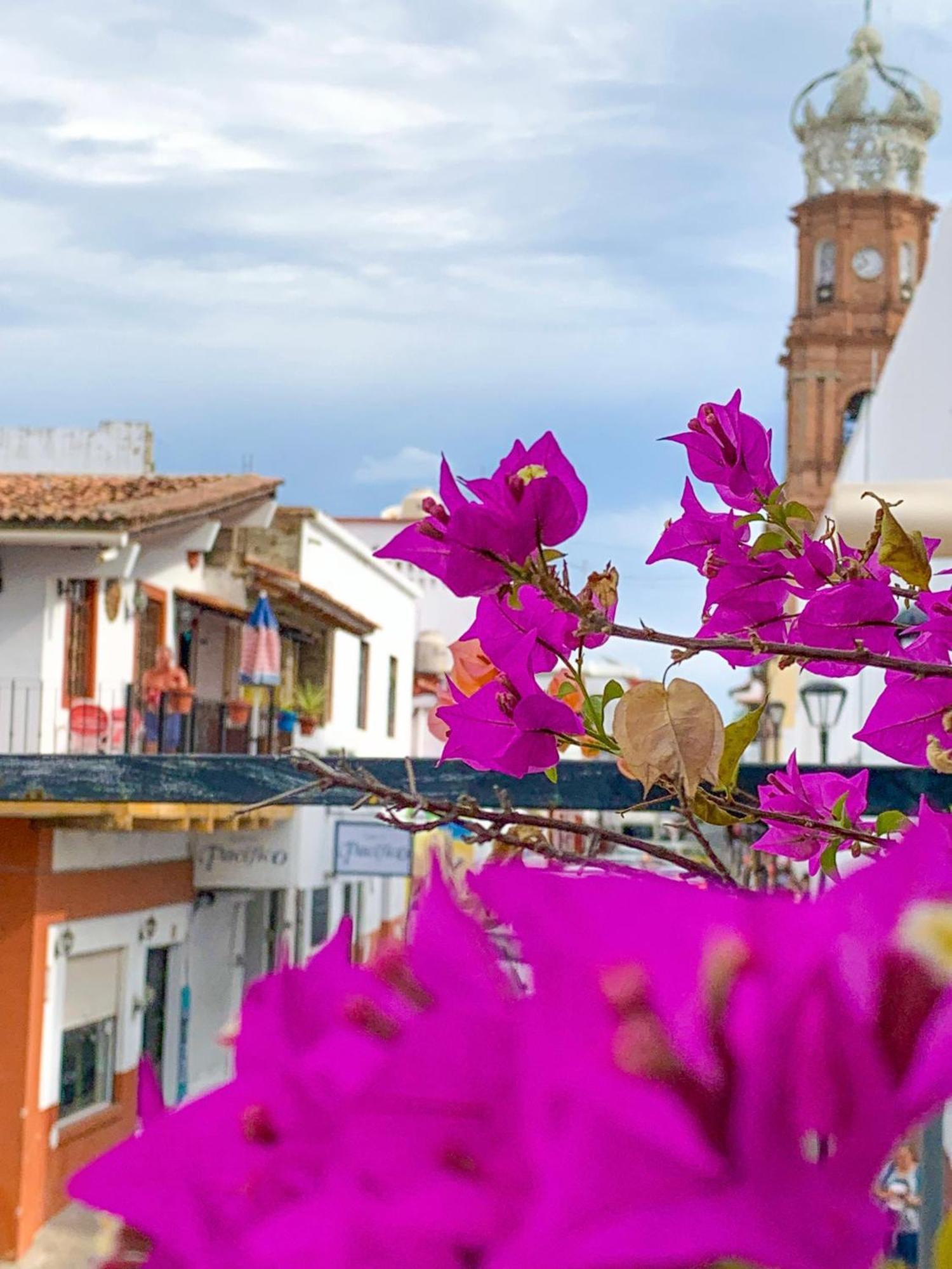 Casa Frida Gaylodging Puerto Vallarta Luaran gambar